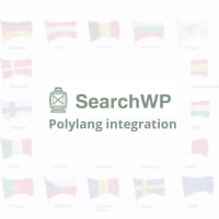 Plugin SearchWP Polylang Integration