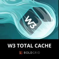 W3 TOTAL CACHE