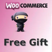 Plugin WooCommerce Free Gift