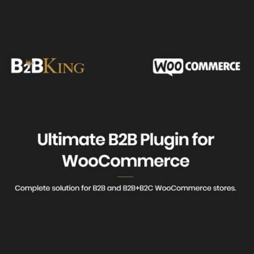 B2BKing Pro