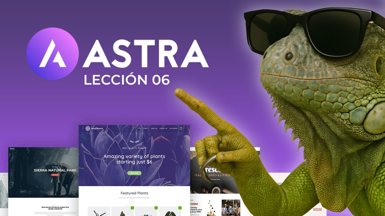 curso tema astra pro